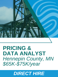 L and S - Pricing and Data Analyst Hennepin County MN