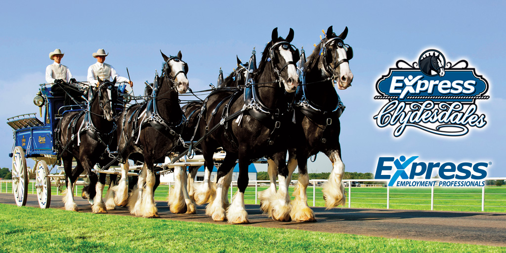The Express Clydesdales Return to Grand Rapids for the Art Van ...